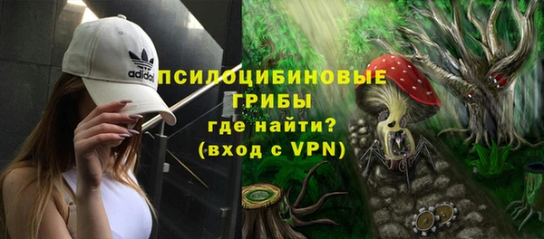 ПСИЛОЦИБИНОВЫЕ ГРИБЫ Волоколамск